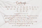 Cendonagh | Modern Script, a Script Font by Jhoel Design (Thumbnail 13 of 15)