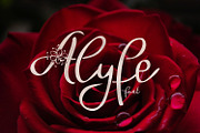 Alyfe, a Script Font by Digital Typeface Studio (Thumbnail 1 of 5)