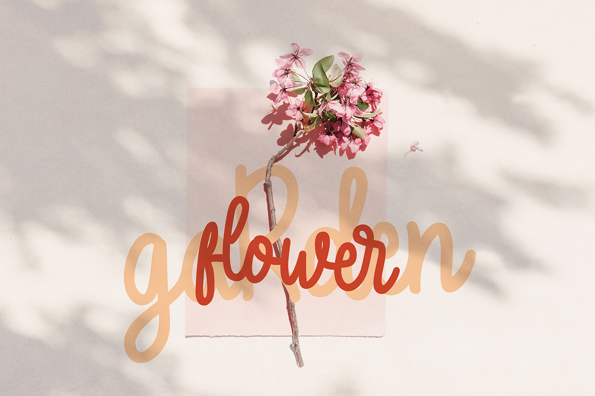 Sellyro, a Script Font by Indotitas (Photo 4 of 6)