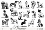 95 line art Dogs clip art, an Animal Illustration by Poppy Lane Studio (Thumbnail 5 of 11)