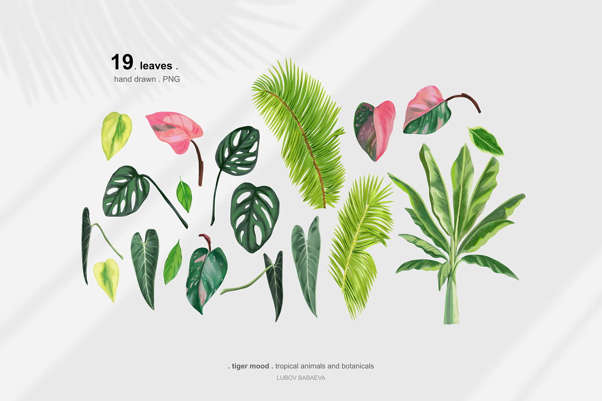 Tropical tiger, animals, leaves, an Animal Illustration by ARTMIRU (Photo 3 of 14)