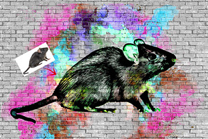 Graffiti Art Photo Effect Template