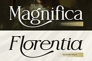 Desevon, a Serif Font by Burntilldead (Thumbnail 4 of 11)