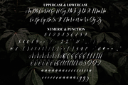 Aesthetic | Script Font, a Handwritten Font by Scratchones (Thumbnail 7 of 9)