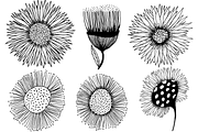 Decorative Sunflower Line Art Bundle, a Decorative Illustration by kristiangallagher (Thumbnail 6 of 9)