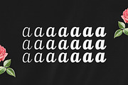 Ralsteda Font Family, a Script Font by Seniors (Thumbnail 13 of 18)