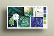 Botanic Mood Board Presentation, a Presentation Template by E-Type (Thumbnail 1 of 2)