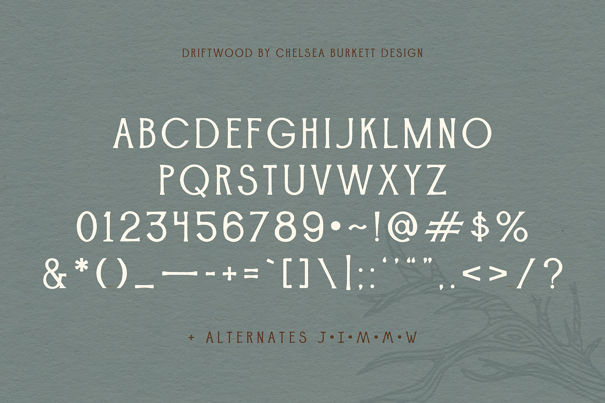 Driftwood, a Serif Font by Chelsea Burkett (Photo 4 of 6)