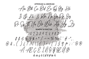 With Night | Script Font, a Script Font by Scratchones (Thumbnail 3 of 8)