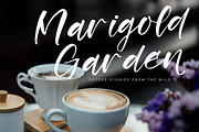 Rustling Kingdom Modern Script Font, a Script Font by Letterena Studios Script (Thumbnail 5 of 15)