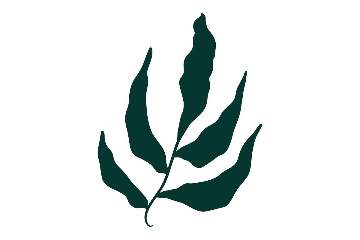 Vector Seaweed Graphics, a Background Graphic by Dorey Kronick Art&Design (Photo 6 of 9)