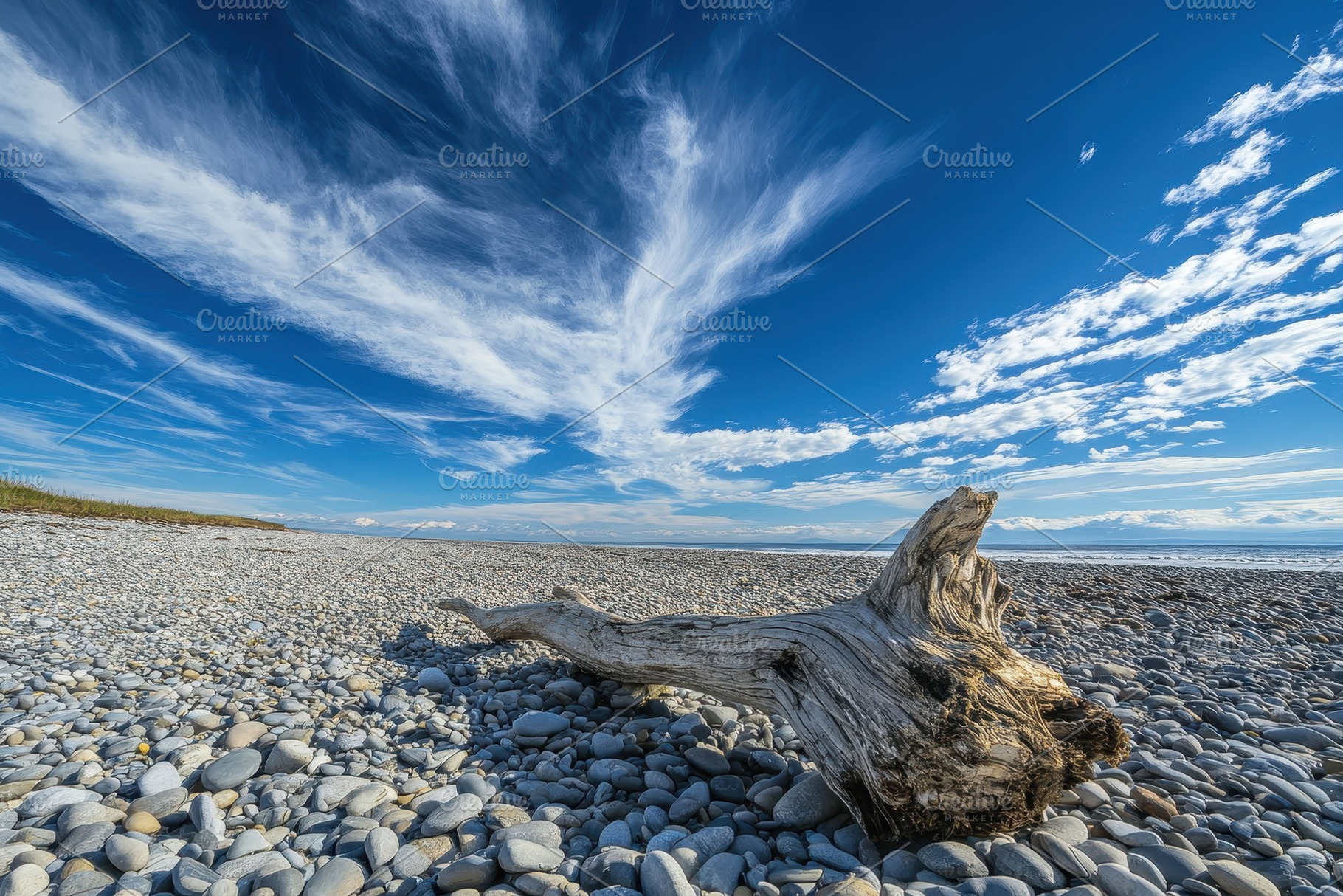 Driftwood rests on a rocky beach und, a Photo by Iftikhar Alam