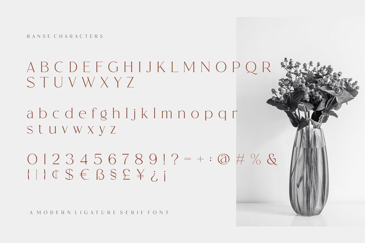 Ranse Modern Ligature Serif Font, a Serif Font by Dylla_studio (Photo 11 of 12)