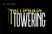 Tall Eagle, a Sans Serif Font by Dead Moose Studio (Thumbnail 10 of 12)