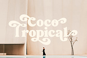 Palm Shine - Bold Swirl Serif, a Serif Font by roomspace creative lab (Thumbnail 12 of 13)