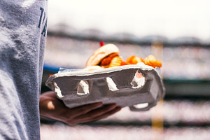 Food at The Yankees Game