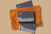 Benida – Elegant Serif, a Serif Font by Craft Supply Co. (Thumbnail 3 of 8)