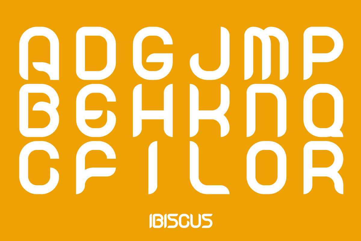 Ibiscus, a Handwritten Font by La Boite Graphique (Photo 4 of 4)