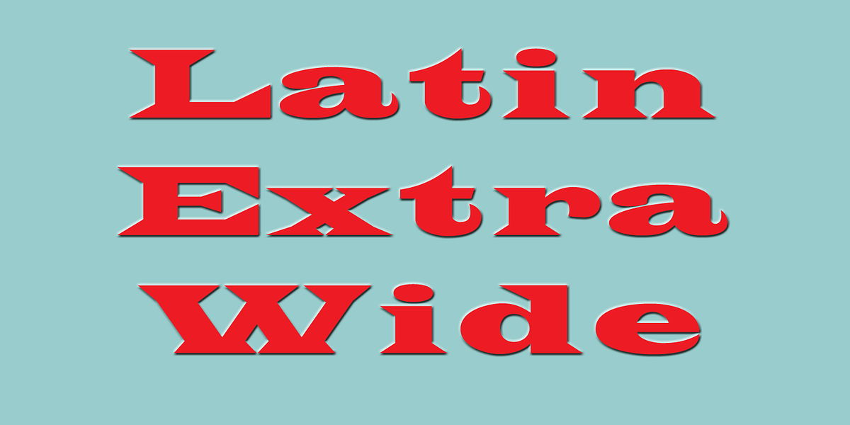 Latin Bold, a Serif Font by Wooden Type Fonts (Photo 4 of 4)