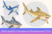 Watercolor Shark Clipart PNG Bundle, an Animal Illustration by Ink Gallery (Thumbnail 3 of 7)
