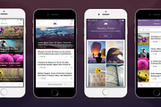 Megap - iOS Template, an UI Kit Template by Michael Eleder Templates (Thumbnail 3 of 9)