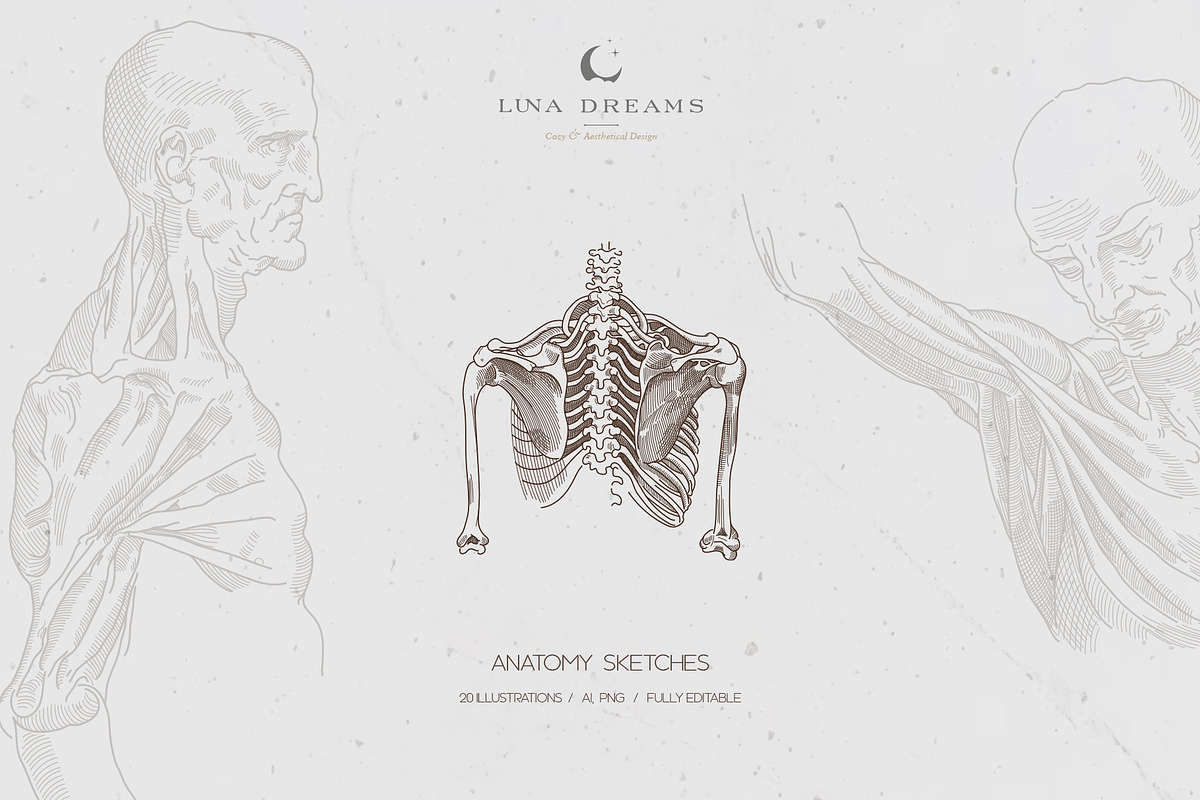LEONARDO DA VINCI ANATOMY SKETCHES, an Illustration by Luna Dreams (Photo 1 of 6)