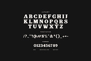 Black Friday Elegant Display Font, a Slab Serif Font by Graphicxell (Thumbnail 8 of 8)