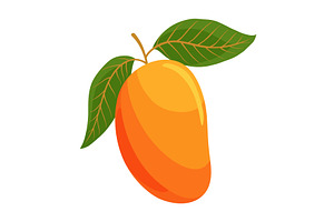 Fresh Mango with Leaves Vector, a Food Illustration by the8monkey