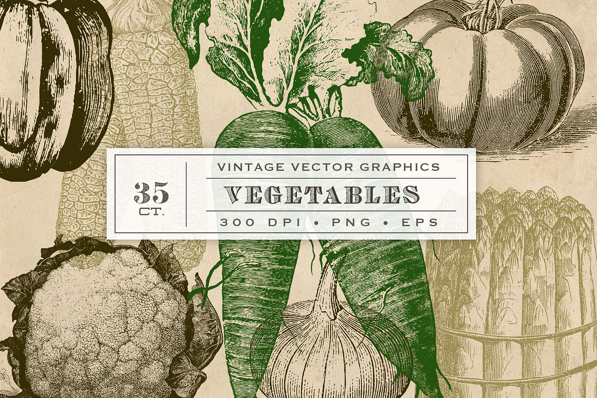 Vintage Vegetable Garden Graphics, an Object Graphic by Eclectic Anthology (Photo 1 of 3)