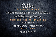 Callie - Modern Brush Font, a Script Font by Ahmad Pkp Studio (Thumbnail 8 of 9)