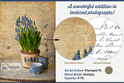Essential Vintage French Graphics, a Graphic by French Kiss Collections (Thumbnail 19 of 30)