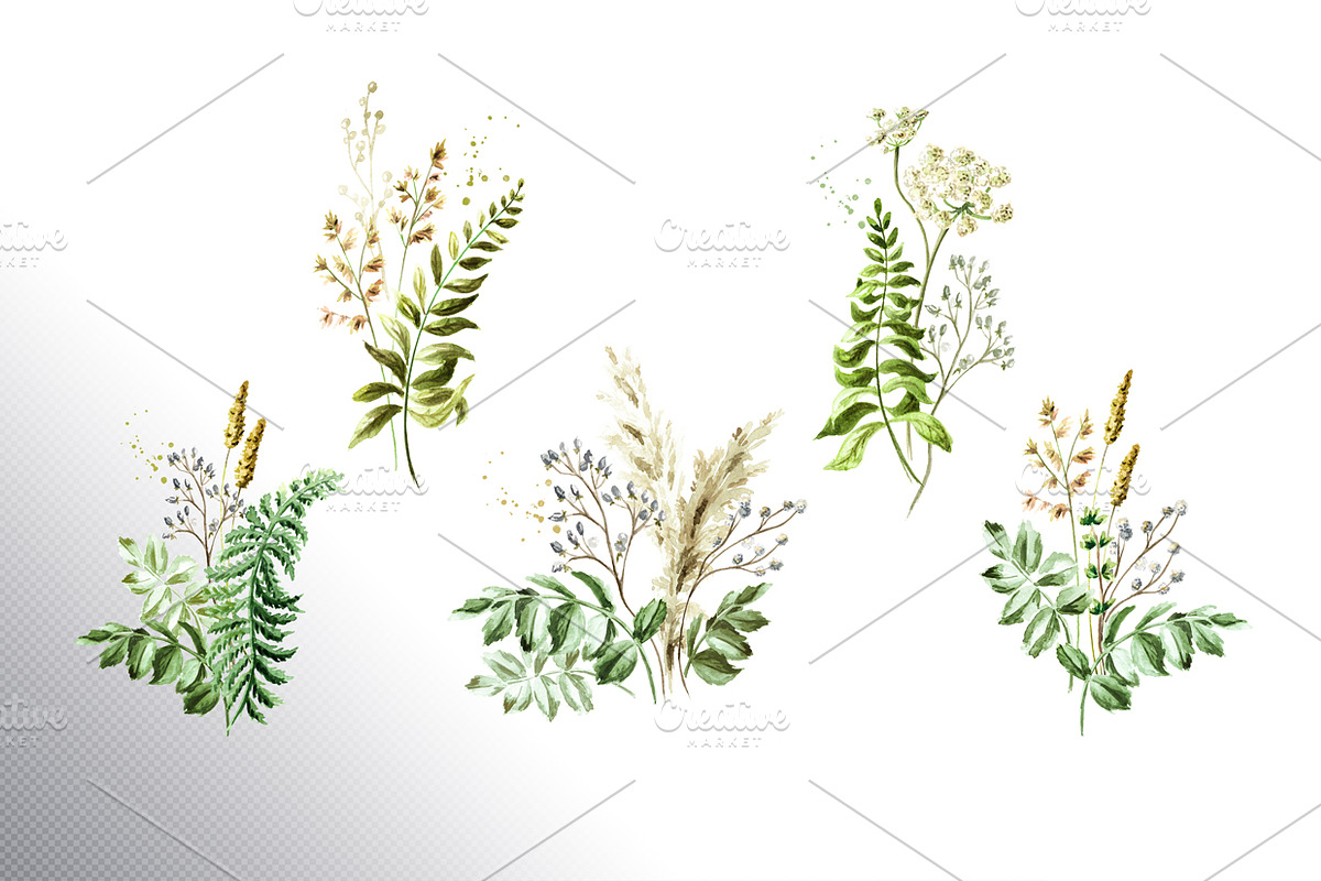 Wildflowers, a Decorative Illustration by Daria Ustiugova (Photo 3 of 14)