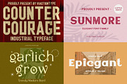 VT Treasure Font Bundle, a Script Font by ViactionType (Thumbnail 6 of 12)