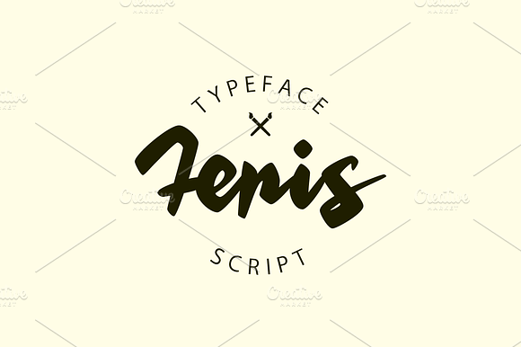 Feris Script preview 7