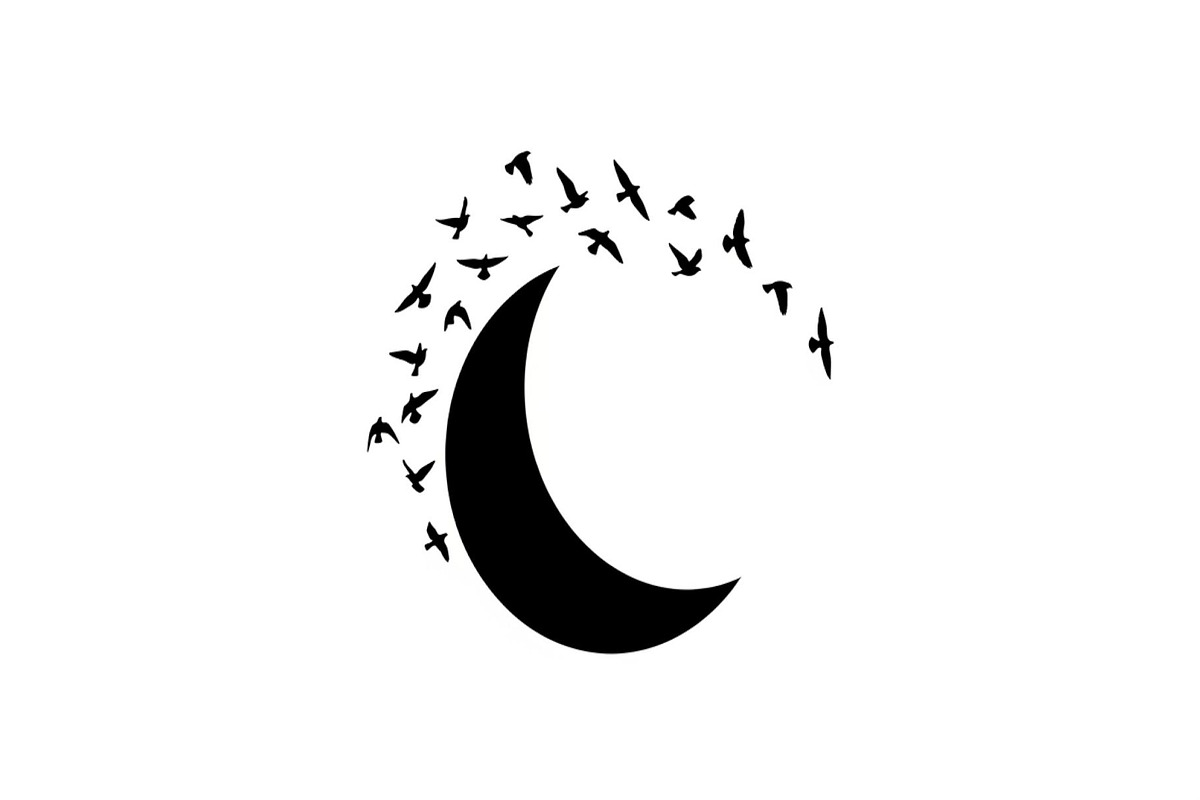 Flying Birds Moon SVG Bundle, an Illustration by yasushie (Photo 23 of 31)