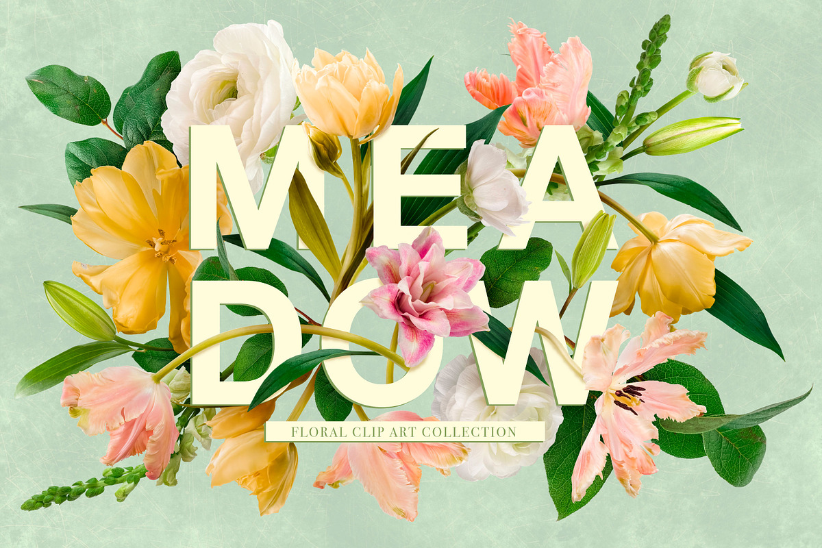 Meadow Floral Clipart Collection, an Object Graphic by Eclectic Anthology (Photo 1 of 12)