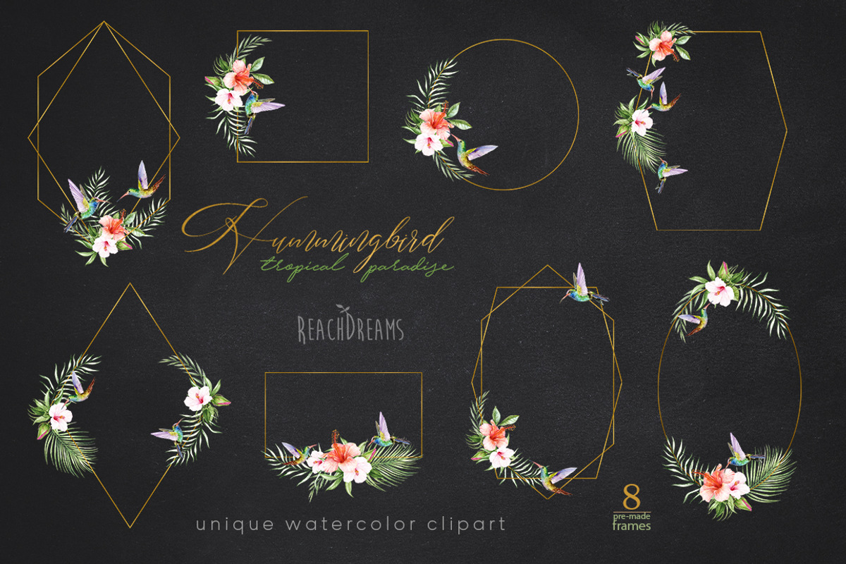 Hummingbird Birds Collection, an Illustration by ReachDreams (Photo 4 of 6)