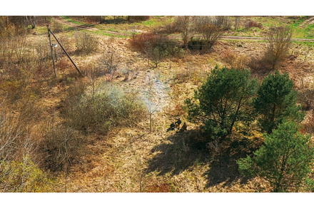 Men Dressed As US American Soldiers, a Nature Photo by Our Amazing World