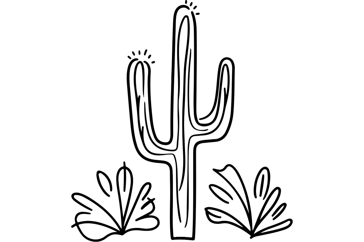Desert Cactus SVG Bundle, an Object Graphic by Designer_Momina (Photo 12 of 16)