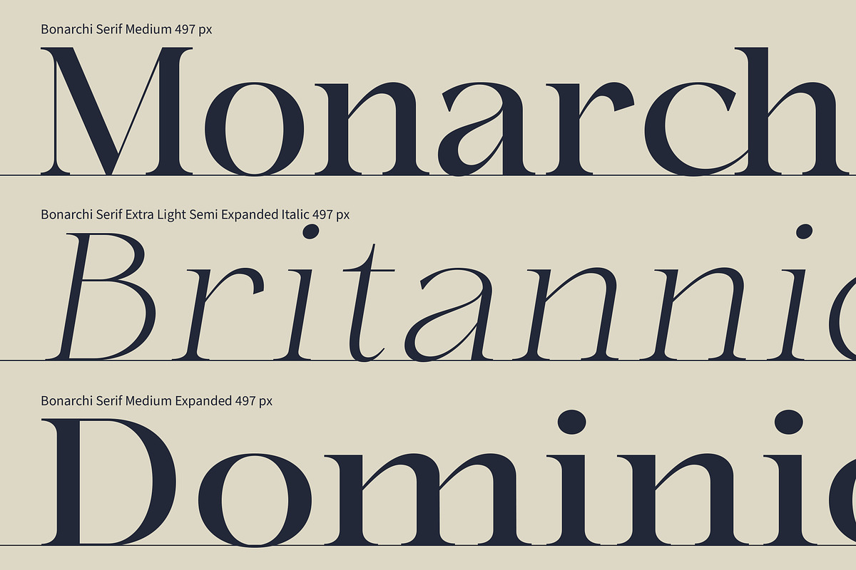 Bonarchi - Family Font, a Serif Font by Rastype (Photo 8 of 10)