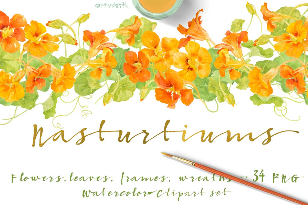BUNDLE Golden-Yellow Flowers -85%, an Illustration by watercolorwild.graphics (Photo 10 of 12)