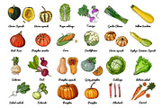 Vector food: vegetables and fruits, a Food Illustration by irina.vaneeva (Thumbnail 9 of 16)