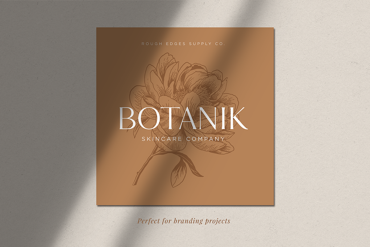 Botanical Illustration Bundle, an Illustration by Rough Edges Supply Co. (Photo 8 of 17)
