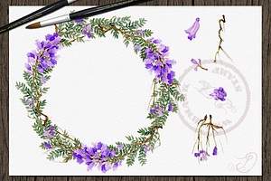 Jacaranda Watercolor Clip Art