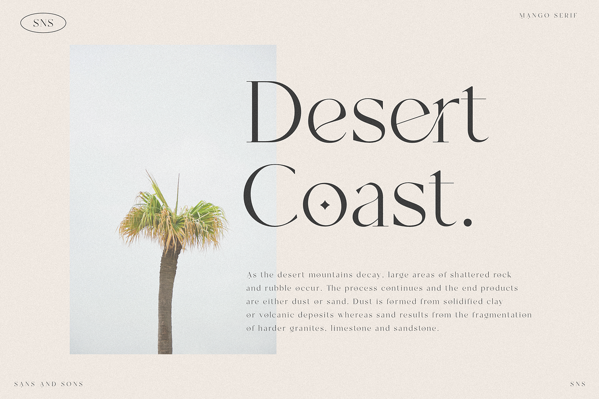 Mango - Modern Serif, a Serif Font by Sans & Sons (Photo 6 of 10)