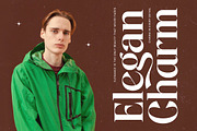 Single Robusta Modern Display Serif, a Serif Font by timelesstype.co (Thumbnail 8 of 20)