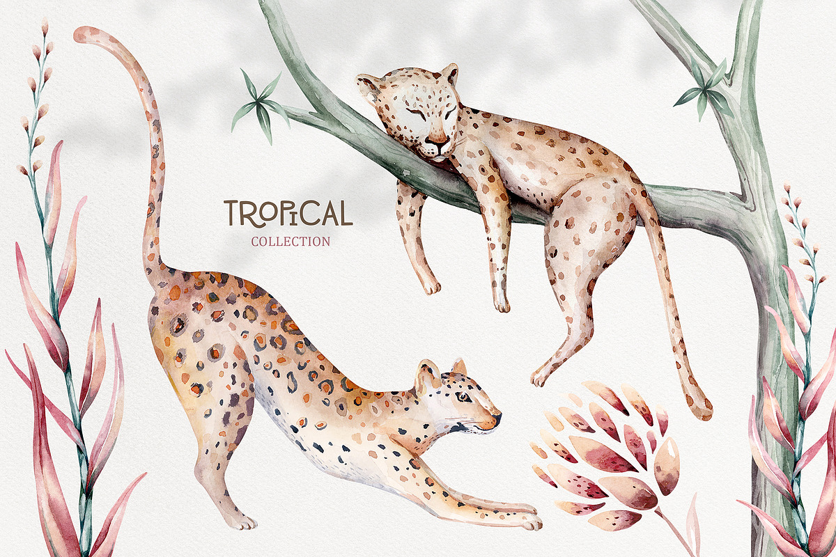 Tropical watercolor collection, an Animal Illustration by Peace ART (Photo 4 of 16)