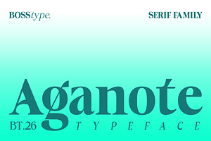 Aganote Typeface | 91 Style Font