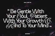 TAN-THE REVERIE, a Sans Serif Font by TanType (Thumbnail 2 of 11)