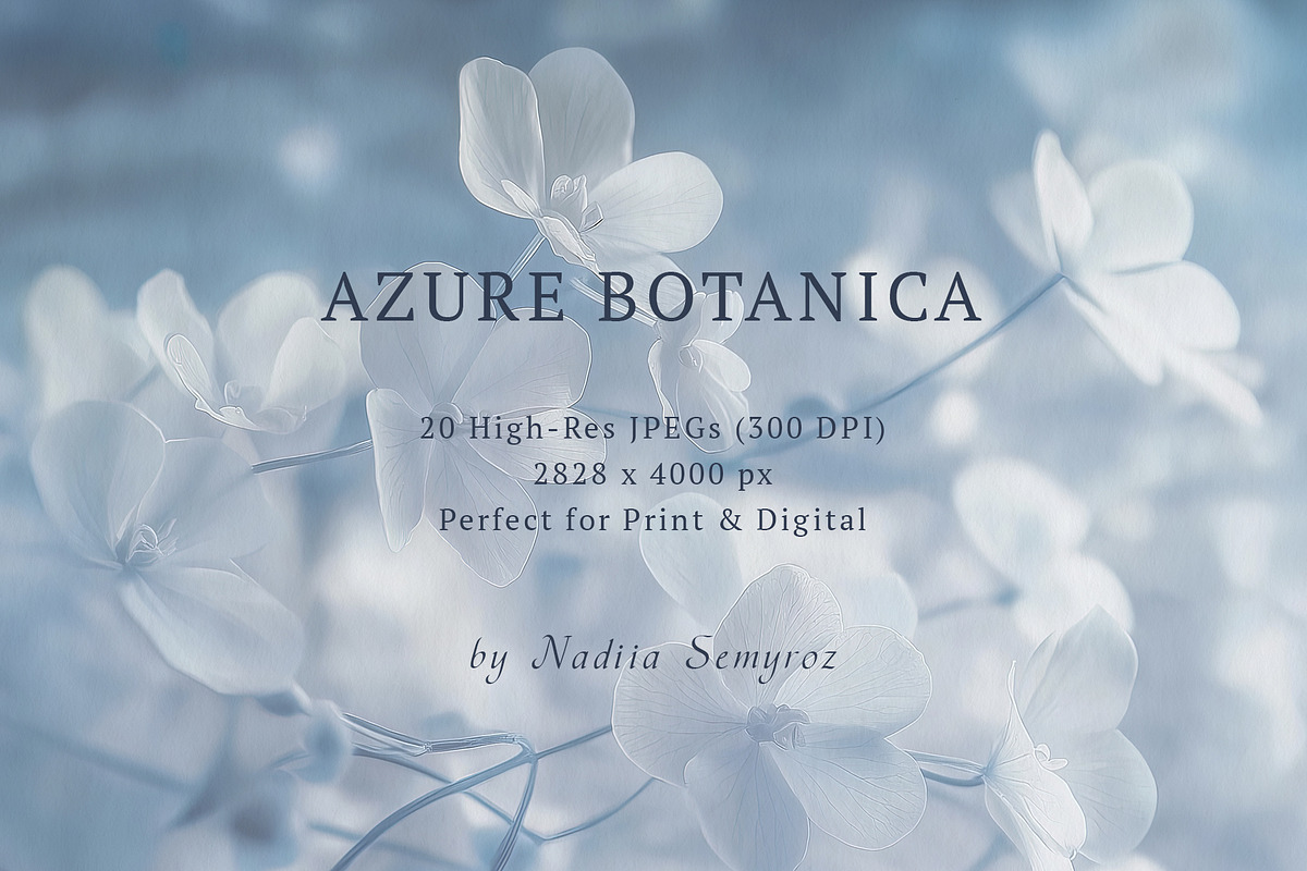 Azure Botanica: Fine Art Watercolor, a Texture Illustration by Nadia Semyroz (Photo 8 of 8)